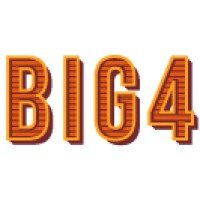 Big 4 Accounting Firms Logo