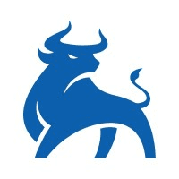 RagingBull Logo