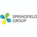 SPRINGFIELD GROUP