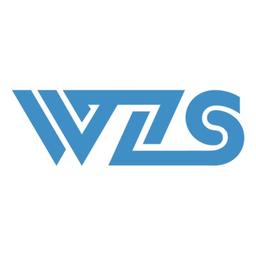 WeiZhiSheng Technology Co., Ltd. Logo