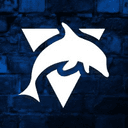 Blue Dolphin Screenprint & Embroidery