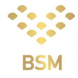 BSM Enterprise Ltd. Logo
