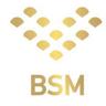 BSM Enterprise Ltd.