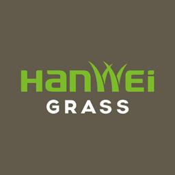 Hanwei Artificial Grass(Changzhou) https://www.linkedin.com/redir/general-malware-page?url=Co%2eLtd Logo