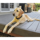 This division has been disbanded.