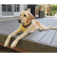 This division has been disbanded. Logo