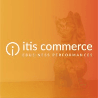 ITIS Commerce Logo