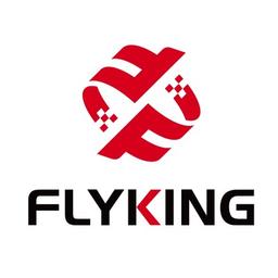 Flyking Technology Logo