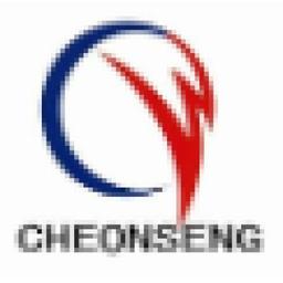 Dongying Cheonseng Precision Foundry Co., Ltd Logo
