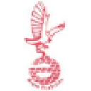 Arora Firebricks - India