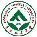 Northeast Forestry University