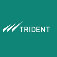 Trident Group India Logo
