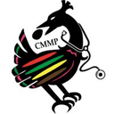 Comprehensive Medical Mentoring Program