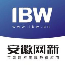 安徽网新科技有限公司 Logo