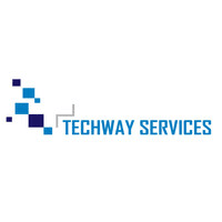 Techway Services, Inc. Logo