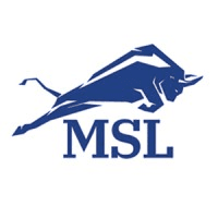 Law Offices of Michael S. Lamonsoff, PLLC Logo