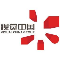 Visual China Group Logo