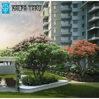 Kalpataru Group Logo