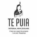 Te Puia | NZMACI