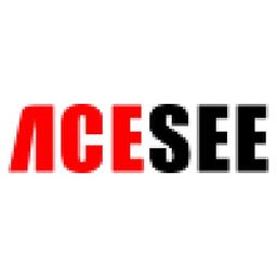 ACESEE Security Limited Logo