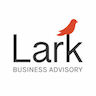 Lark Business Advisory