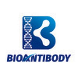 Bioantibody Logo