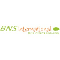 BNS International Logo