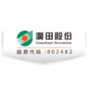 Shenzhen Grandland Decoration Group Co Ltd (002482)
