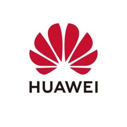 Huawei Consumer Business Group Logo