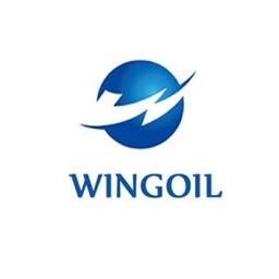 Chongqing Weiyun Technology Development Co.,Ltd. Logo