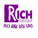 Richdigger Consulting