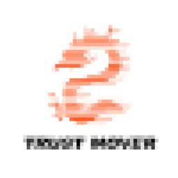 Shanghai Trust Mover International Logistics Co.,Ltd. Logo