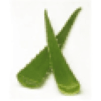Aloevera Portal Danmark Logo