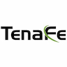 TenaFe Inc