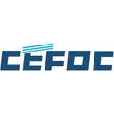 CEFOC中国电子系统工程第四建设有限公司