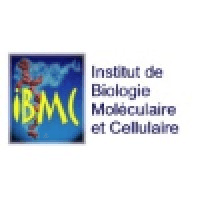 IBMC Logo