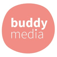 Buddy Media Logo