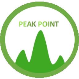 Longyan Peak Point Technology Co.,Ltd Logo