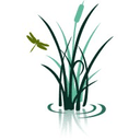 Absolute Resource Associates