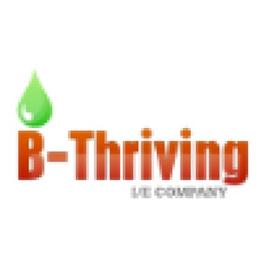 Xi'an B-Thriving I/E Co., Ltd. Logo