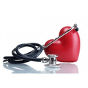 Bruen Medical Partners, LLC