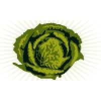 More Cabbage Logo