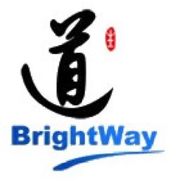 上海智生道信息科技有限公司 Logo