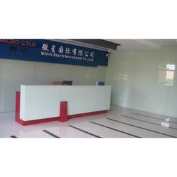 Shenzhen Micro Star Electronic Technology Co., Ltd. Logo