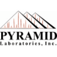 Pyramid Pharma Services Logo