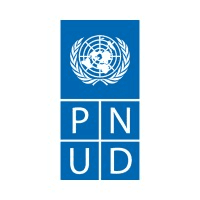 PNUD Brasil Logo