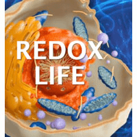 Redox Signaling Molecules Logo
