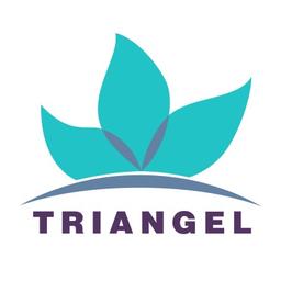 Triangel Official Logo