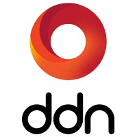 DDN Logo