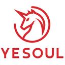Yesoul Health Technology Co., Ltd.